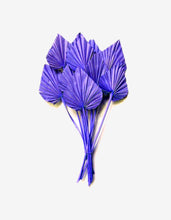 Laden Sie das Bild in den Galerie-Viewer.Natural Dried Palm Leaf Fan Plant DIY Party Art Wall Hanging