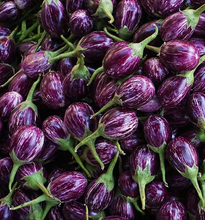 Laden Sie das Bild in den Galerie-Viewer.Fresh Brinjal