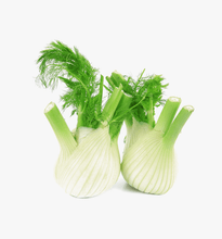 Load image into Gallery viewer, Fennel
