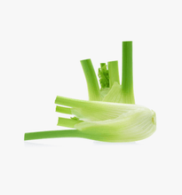 Load image into Gallery viewer, Fennel