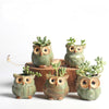5Pcs/Set Ceramic Owl Shape Garden Flower Pot Selected