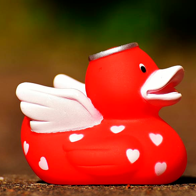 Cute yellow rubber duck