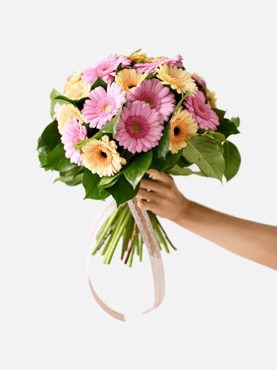 bouquet of gerbera flowers