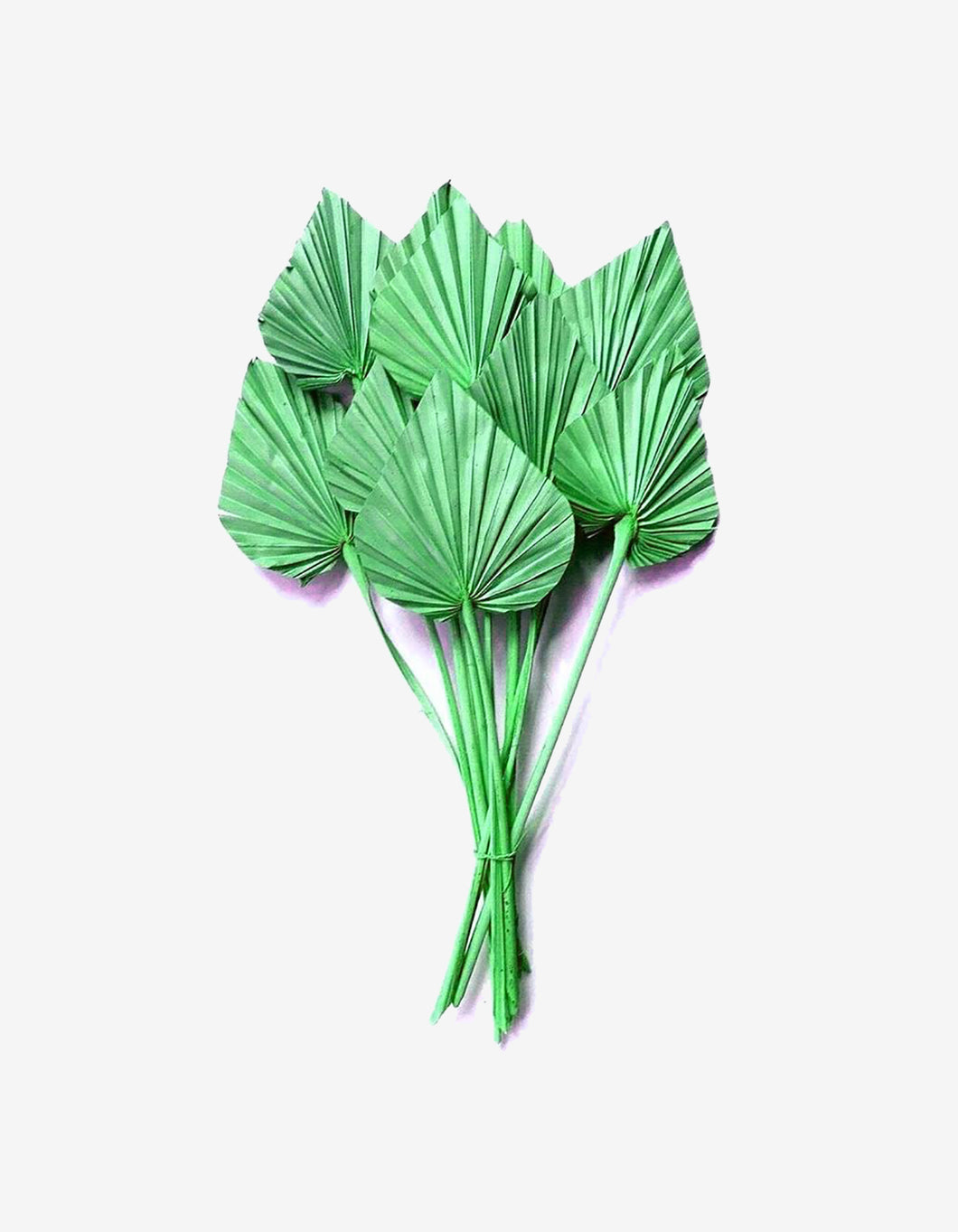 Natural Dried Palm Leaf Fan Plant DIY Party Art Wall Hanging