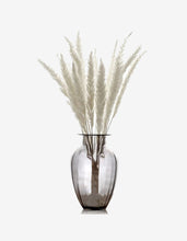Load image into Gallery viewer, 15pcs Natural Dried Small Pampas Grass white pink color
