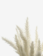 Load image into Gallery viewer, 15pcs Natural Dried Small Pampas Grass white pink color
