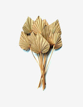 Laden Sie das Bild in den Galerie-Viewer.Natural Dried Palm Leaf Fan Plant DIY Party Art Wall Hanging
