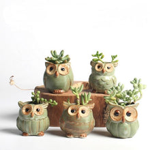 Load image into Gallery viewer, 5Pcs/Set Ceramic Owl Shape Garden Flower Pot Selected
