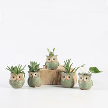 Load image into Gallery viewer, 5Pcs/Set Ceramic Owl Shape Garden Flower Pot Selected
