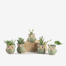 Load image into Gallery viewer, 5Pcs/Set Ceramic Owl Shape Garden Flower Pot Selected
