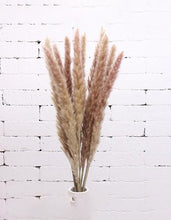 Load image into Gallery viewer, 15pcs Natural Dried Small Pampas Grass white pink color
