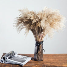 Load image into Gallery viewer, Free Shipping Dried Pampas Grass Decor Wedding Flower
