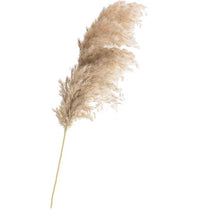 Load image into Gallery viewer, Free Shipping Dried Pampas Grass Decor Wedding Flower
